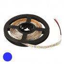 2835 300LED IP33 12V BLUE