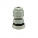 MGB10-06G-ST