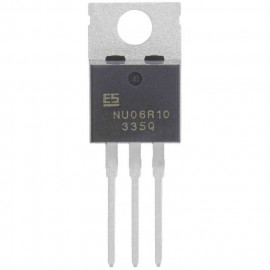 ESNU06R10